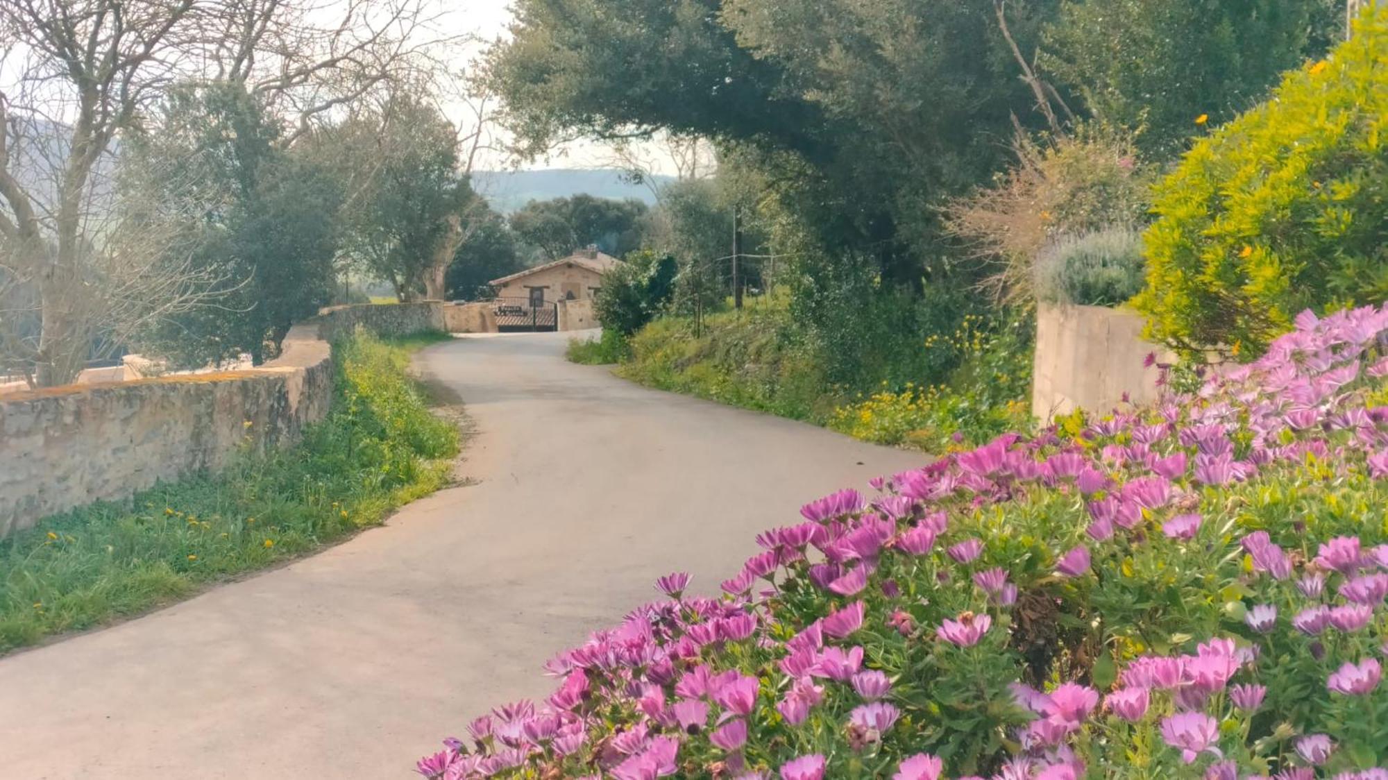 La Quinta Luxury Palace Arnuero Dış mekan fotoğraf